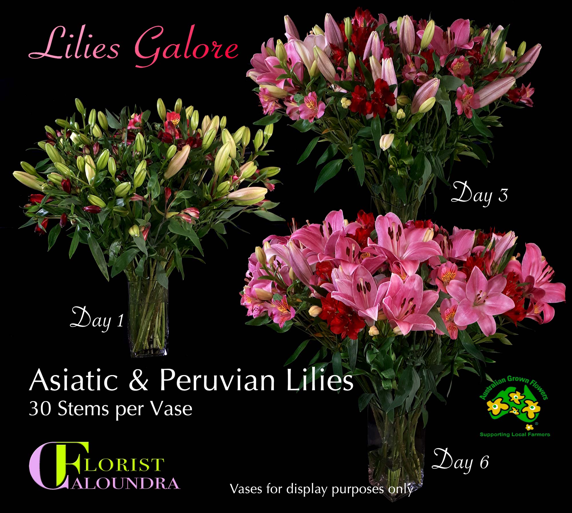 CALOUNDRA FLORIST BULK PERUVIAN LILIES