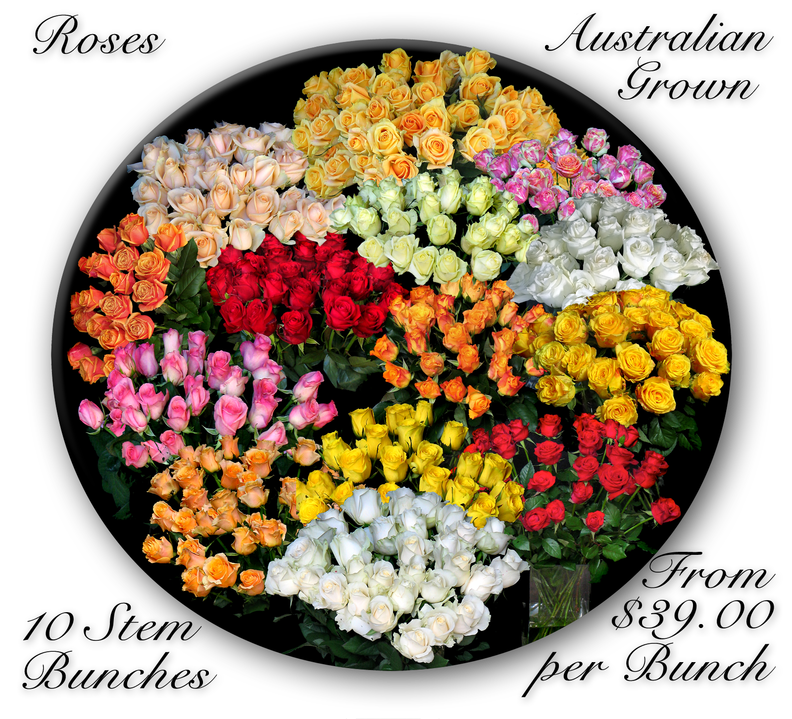 BULK FLOWERS CALOUNDRA & SUNSHINE COAST