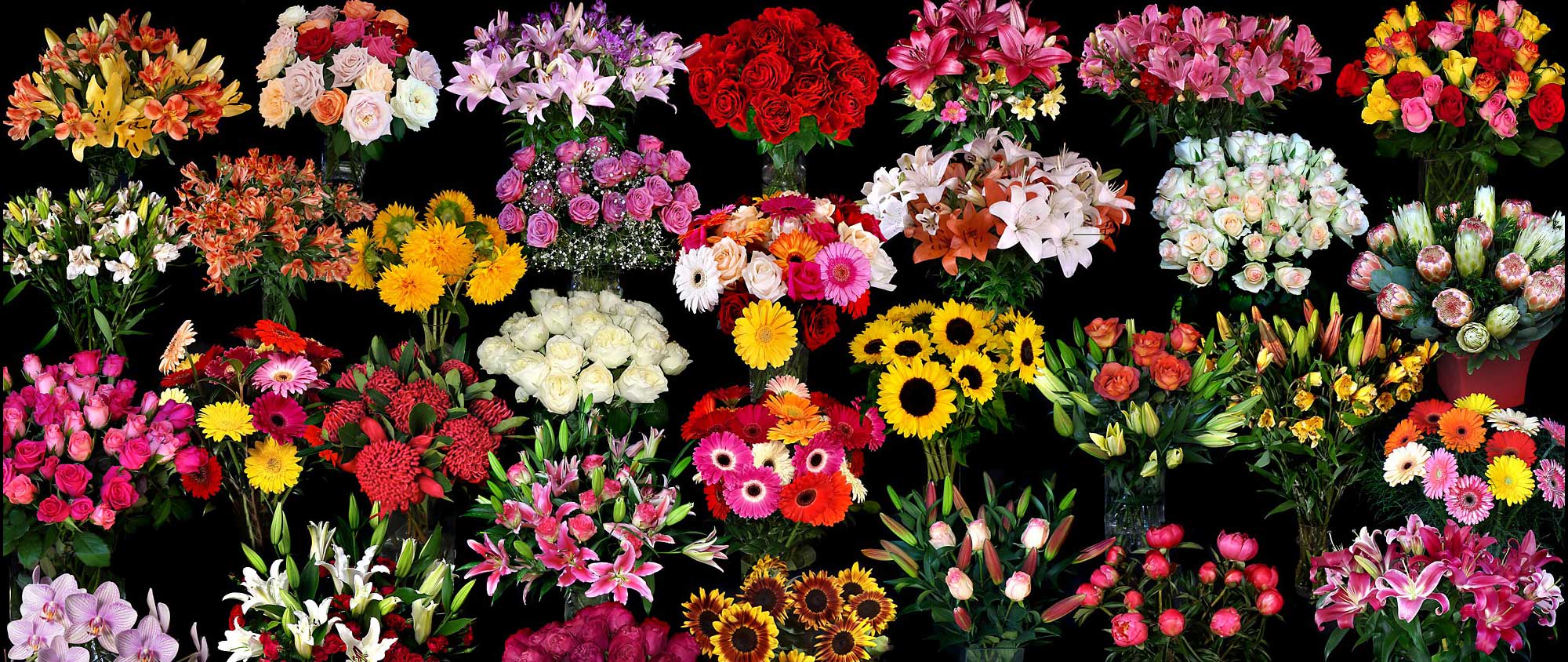 BULK FLOWERS