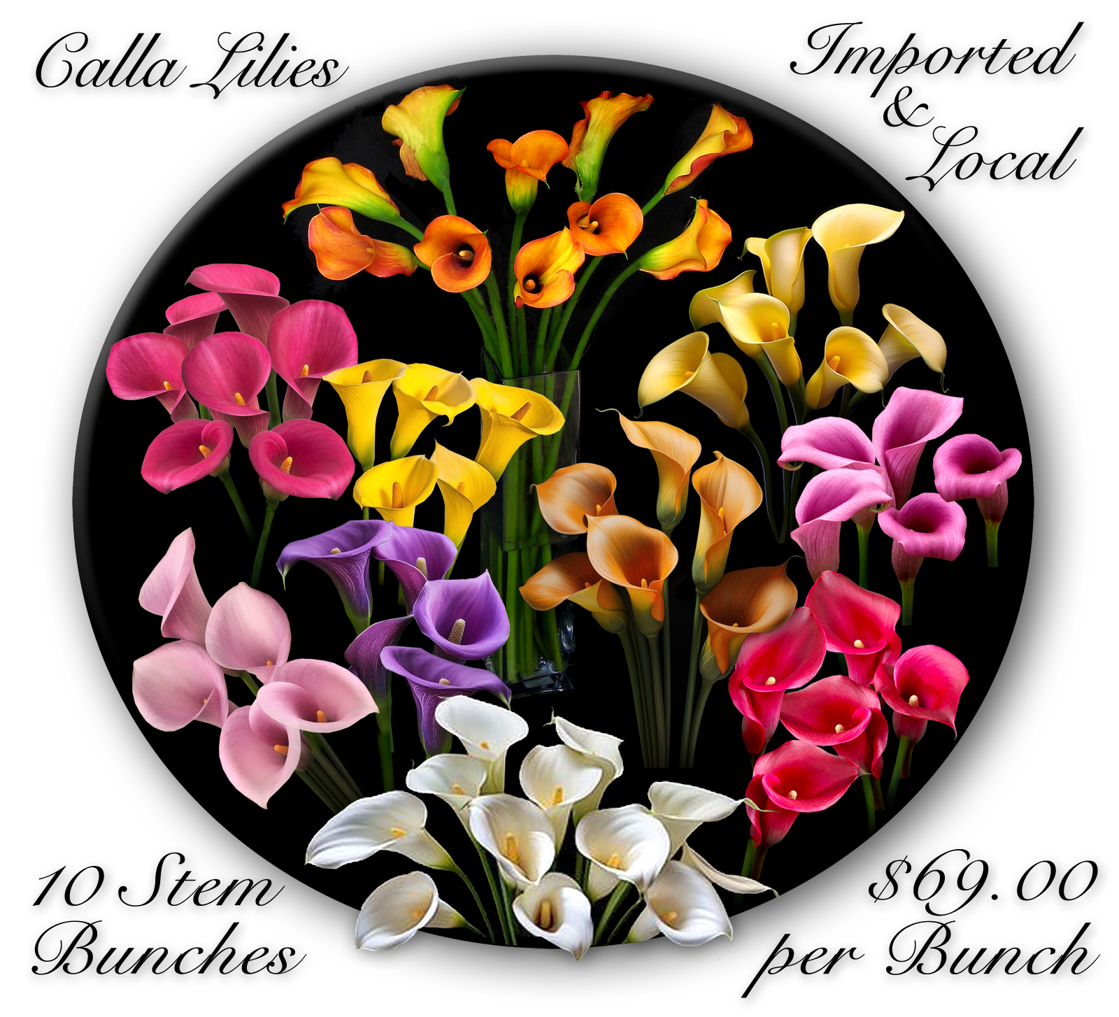 CALLA LILIES