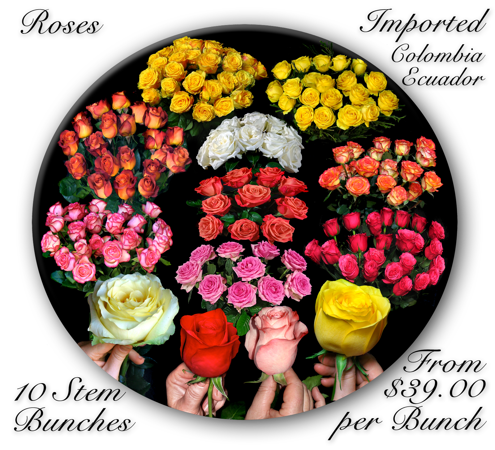 BULK FLOWERS CALOUNDRA & SUNSHINE COAST