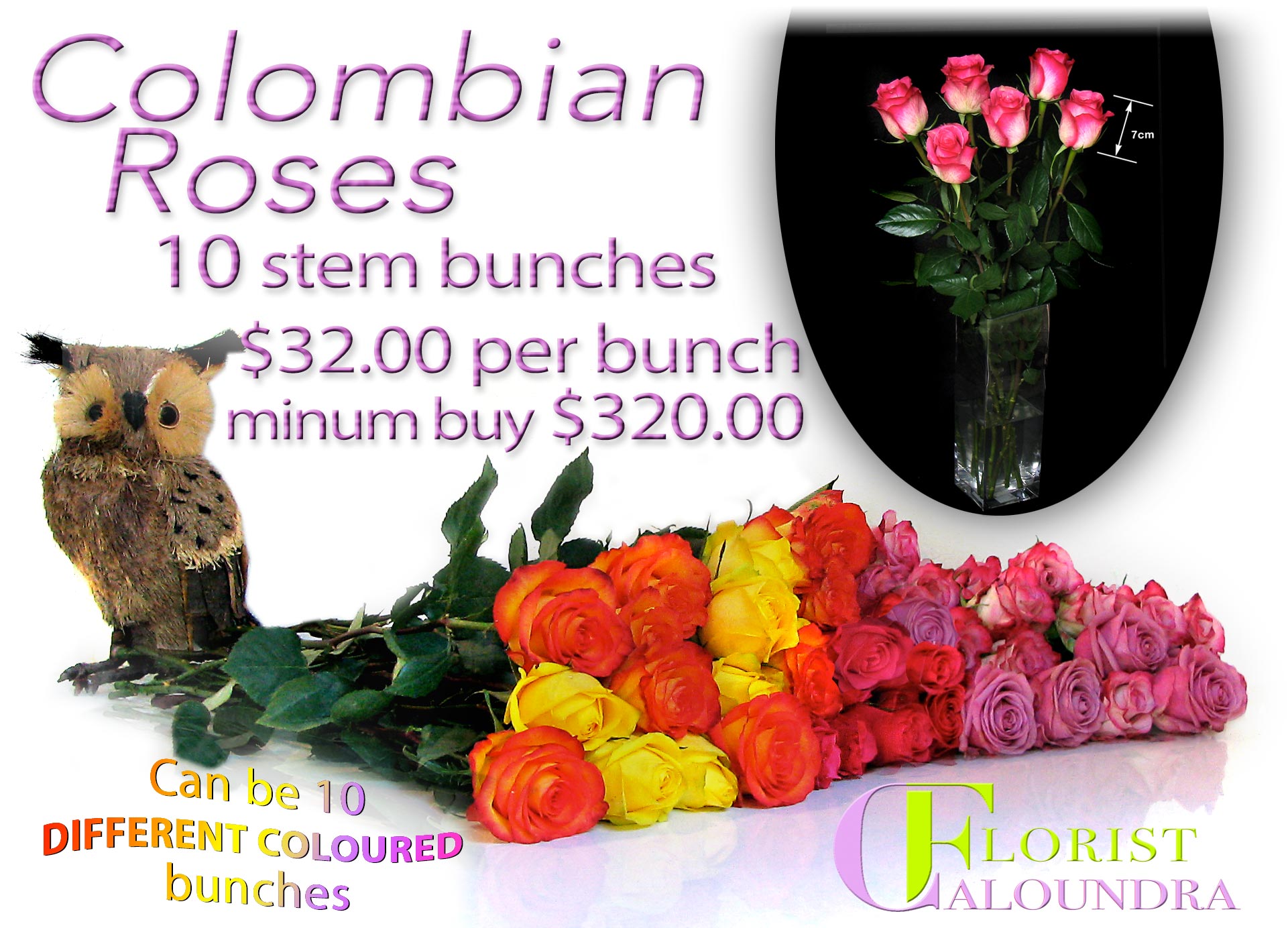 COLOMBIAN ROSES BY CALOUNDRA FLORIST