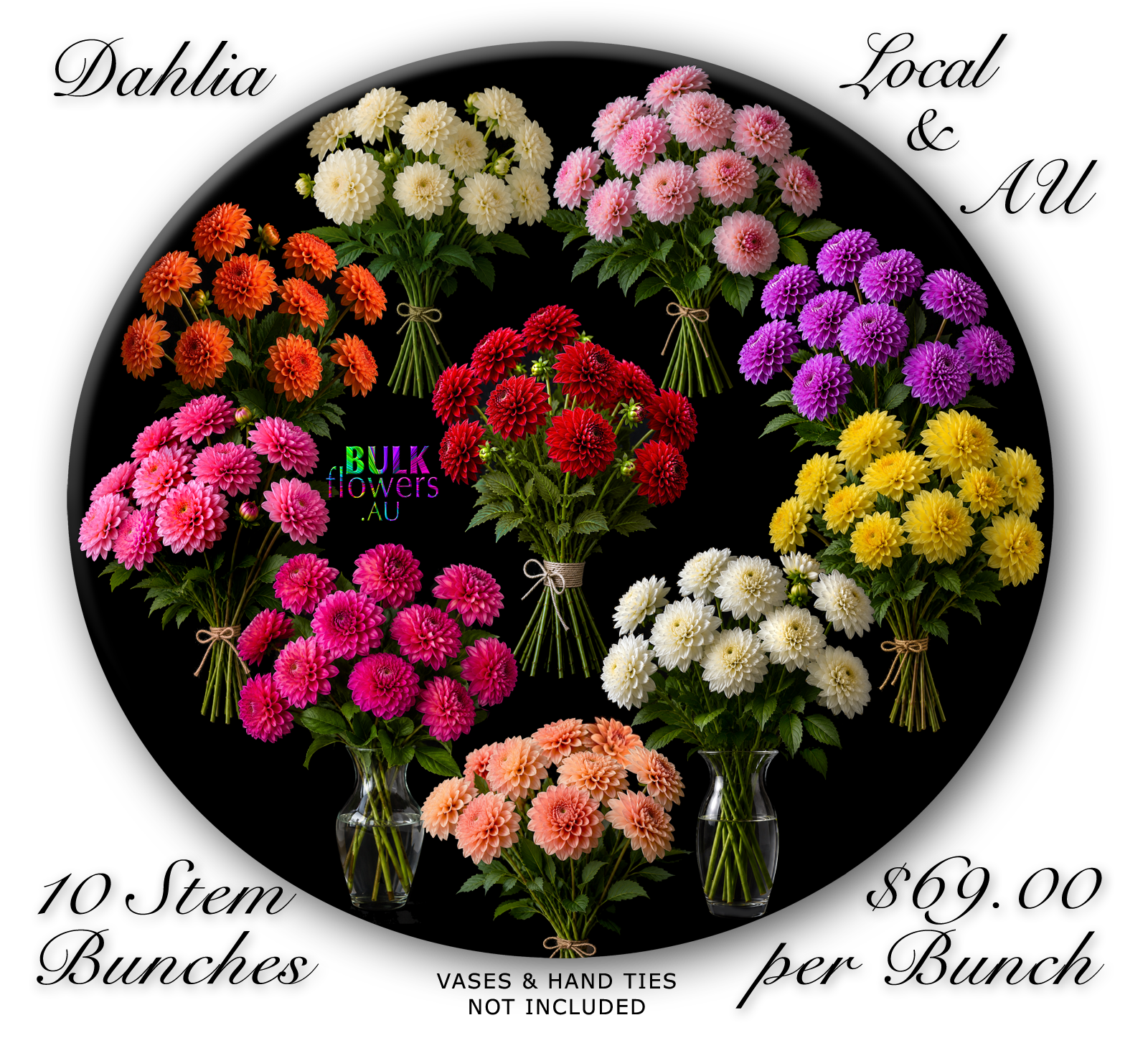 BULK FLOWERS DAHLIAS