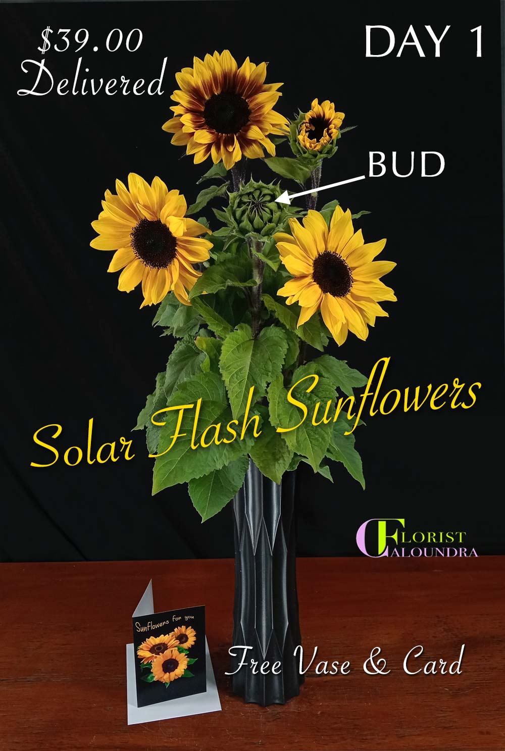 CALOUNDRA FLORIST SUNFLOWERS