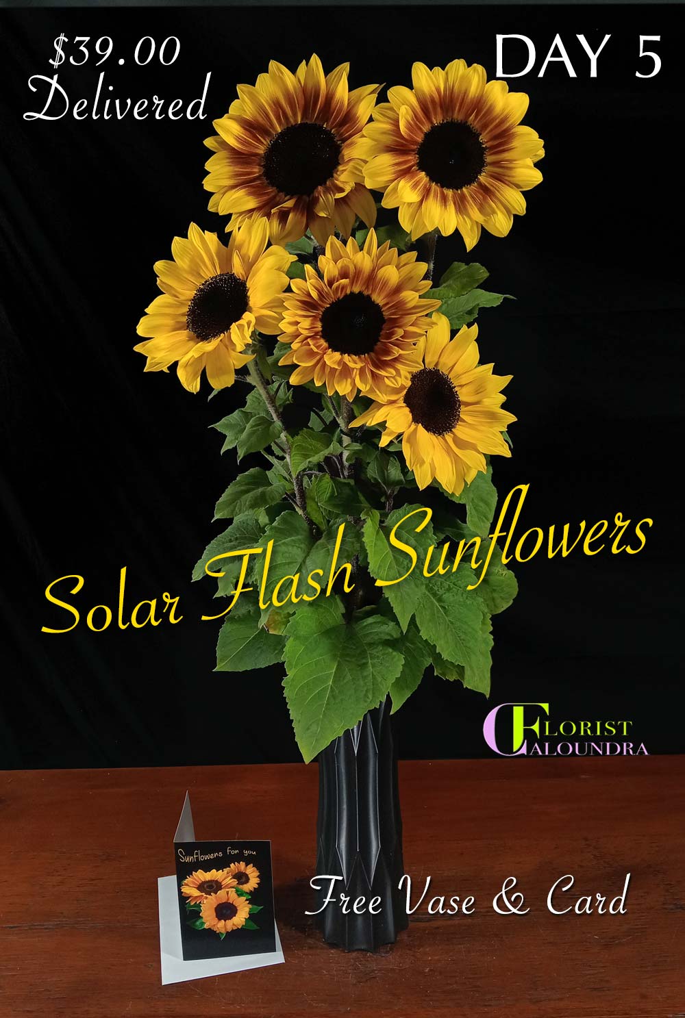 CALOUNDRA FLORIST SUNFLOWERS