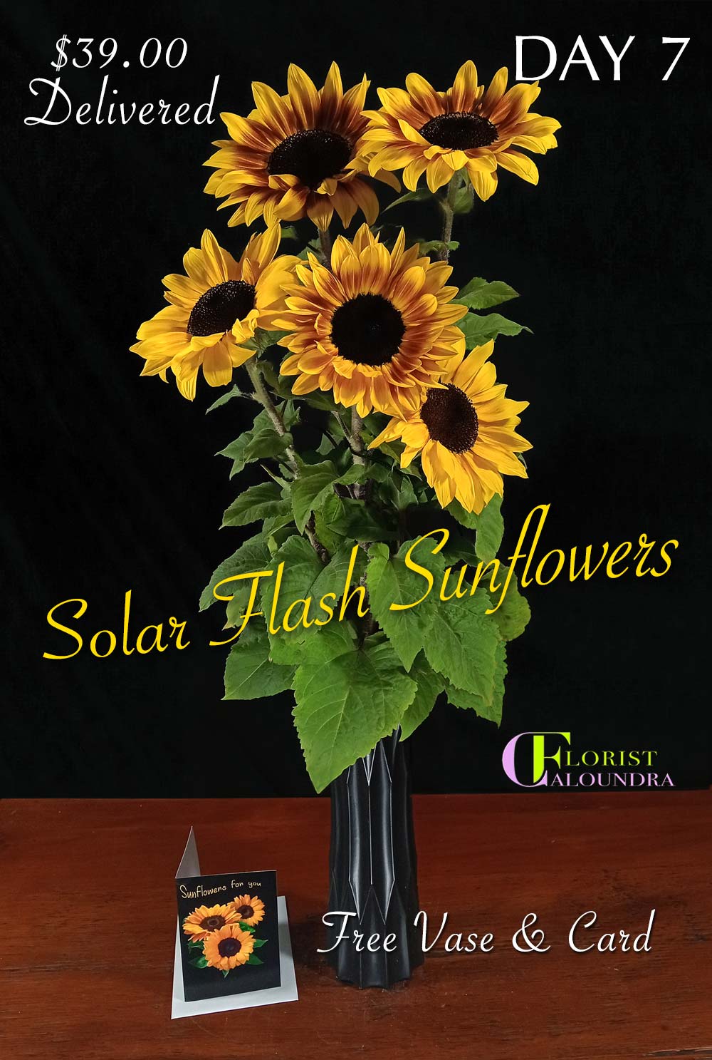 CALOUNDRA FLORIST SUNFLOWERS