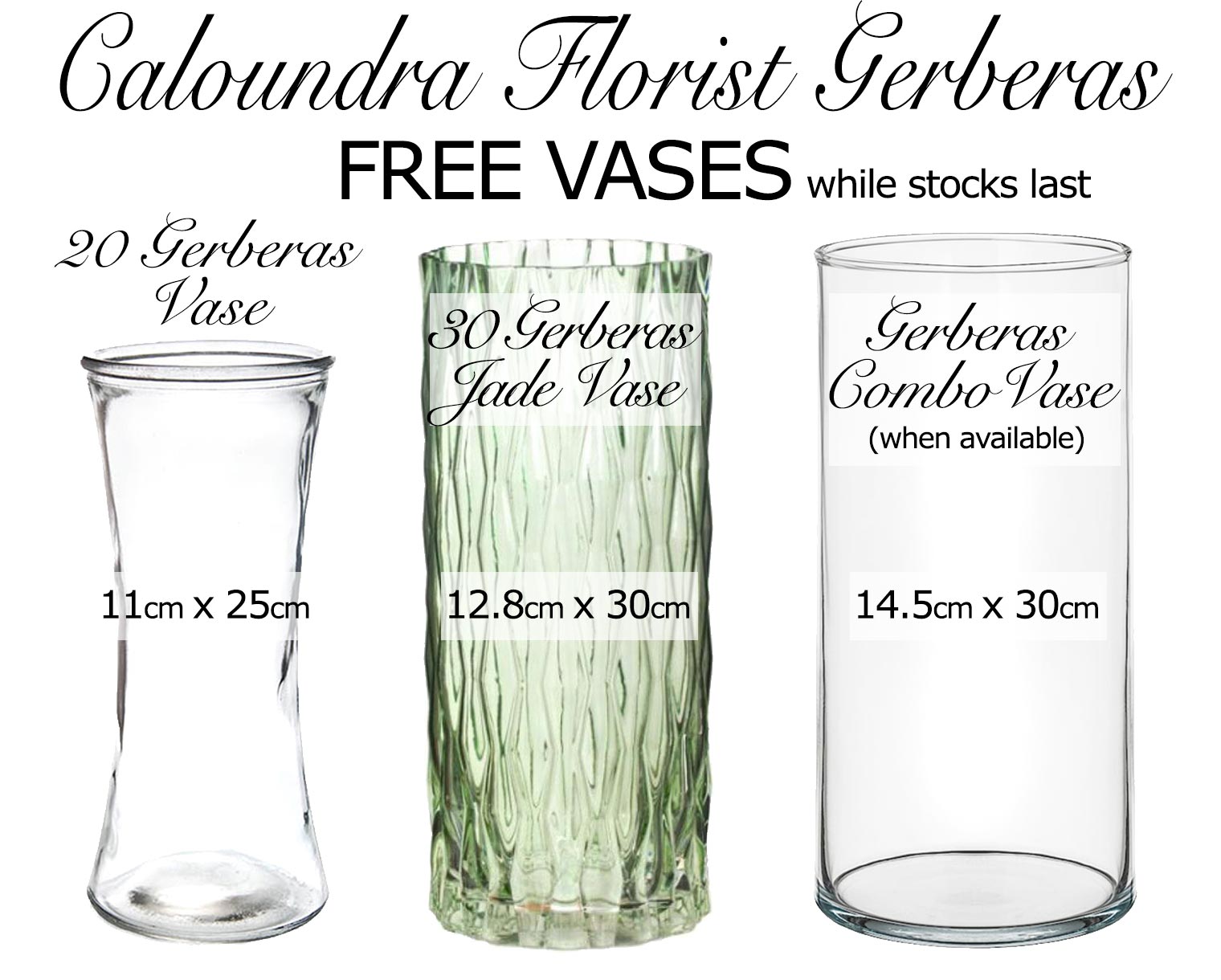 FREE VASES AT CALOUNDRA FLORIST