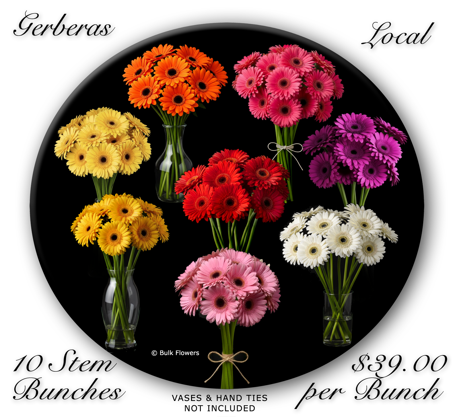 BULK FLOWERS GERBERAS