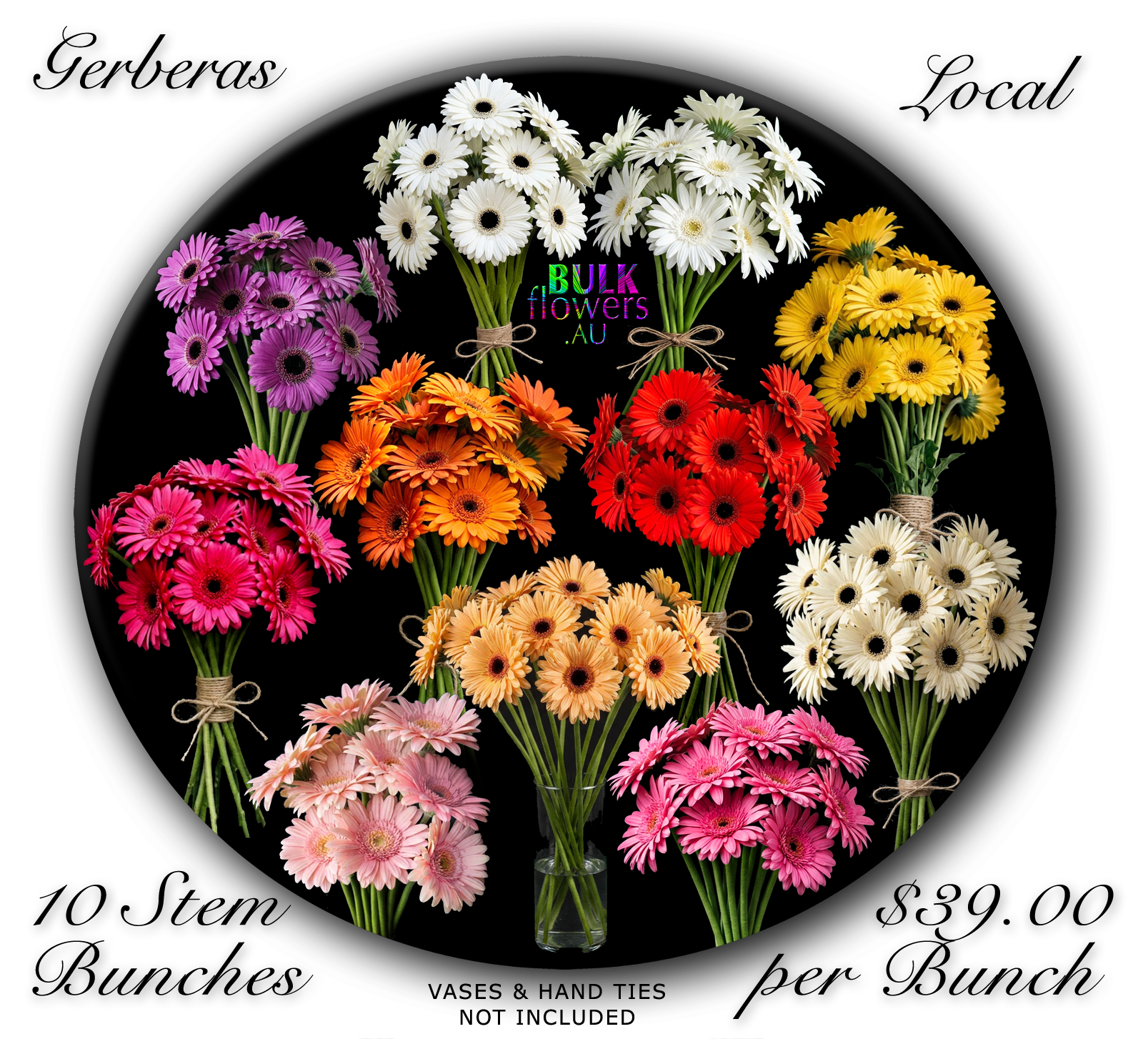BULK FLOWERS GERBERAS