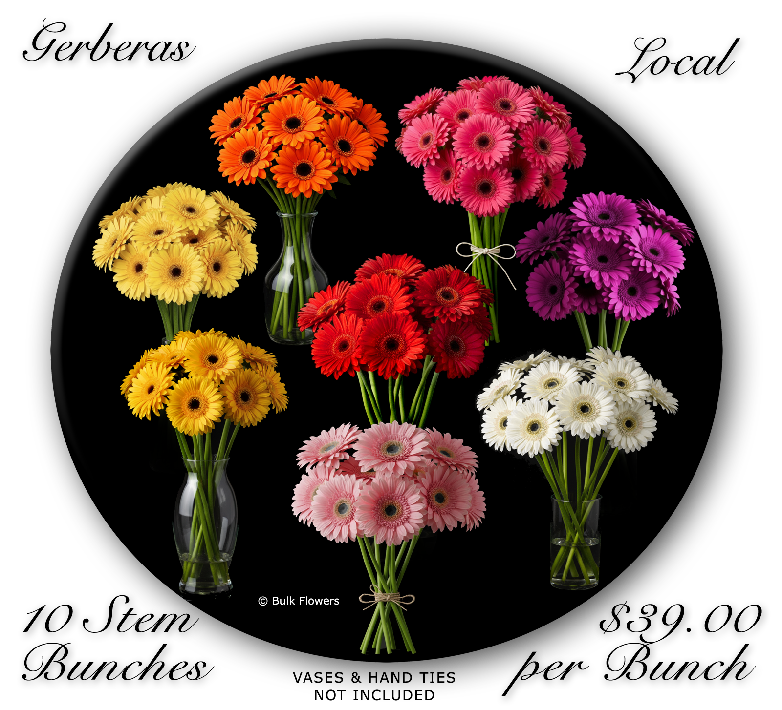 BULK FLOWERS GERBERAS