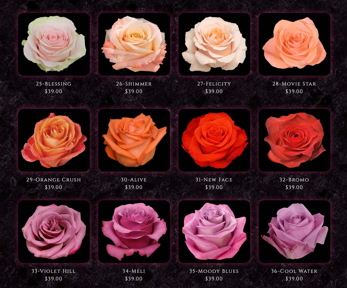 CALOUNDRA FLORIST BULK COLOMBIAN ROSES