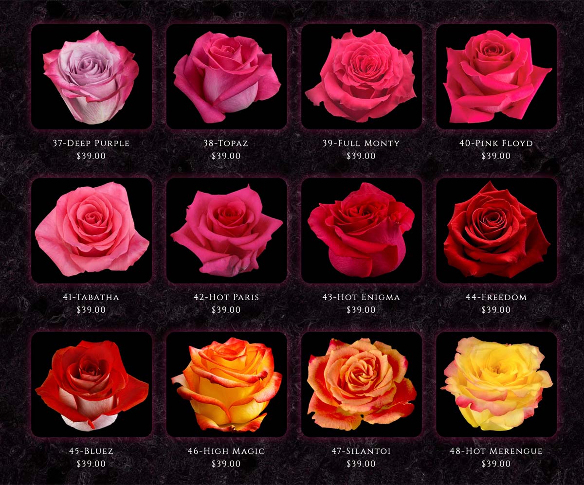 CALOUNDRA FLORIST BULK COLOMBIAN ROSES