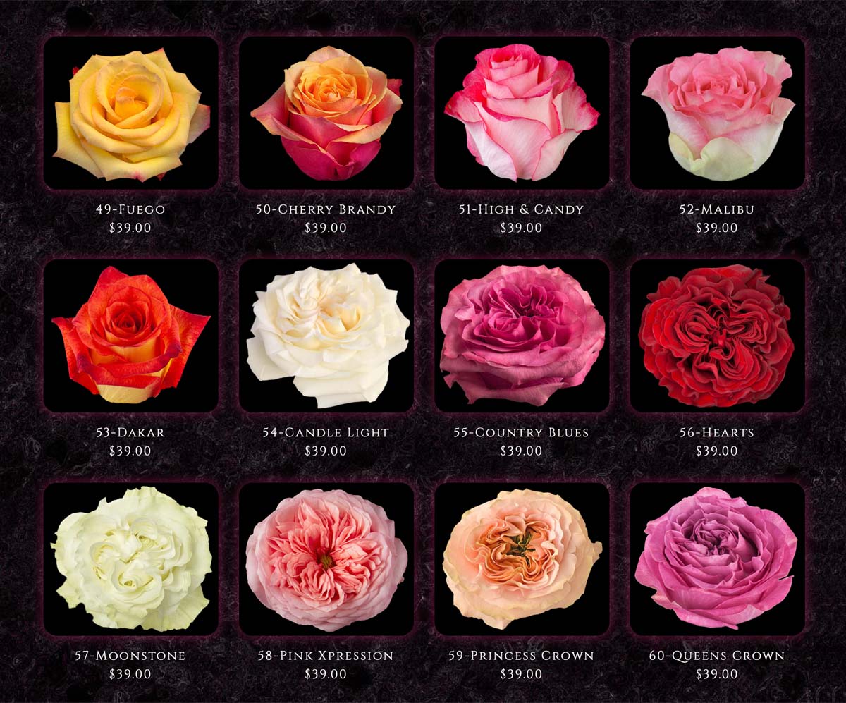 CALOUNDRA FLORIST BULK COLOMBIAN ROSES