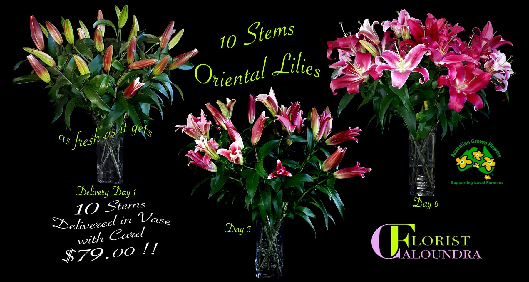 CALOUNDRA FLORIST BULK FLOWERS