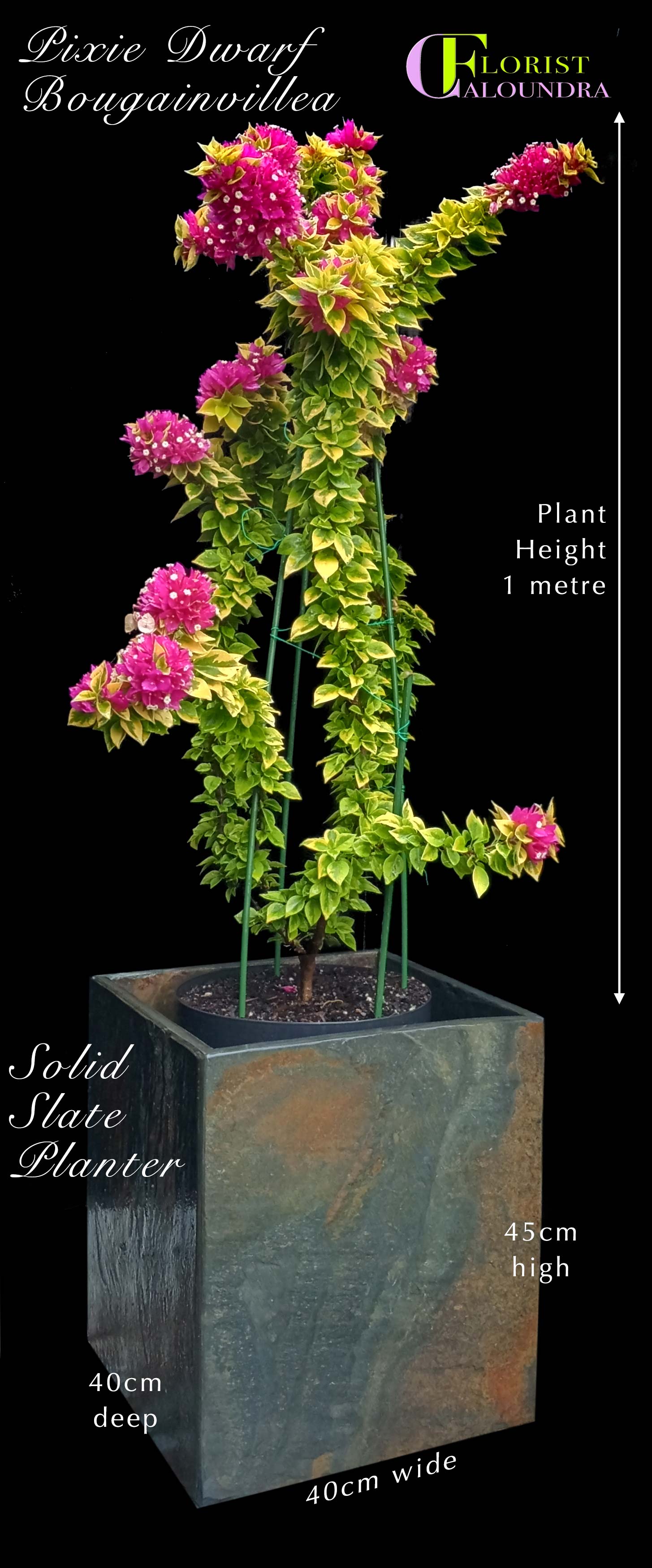 SELECT PLANTS