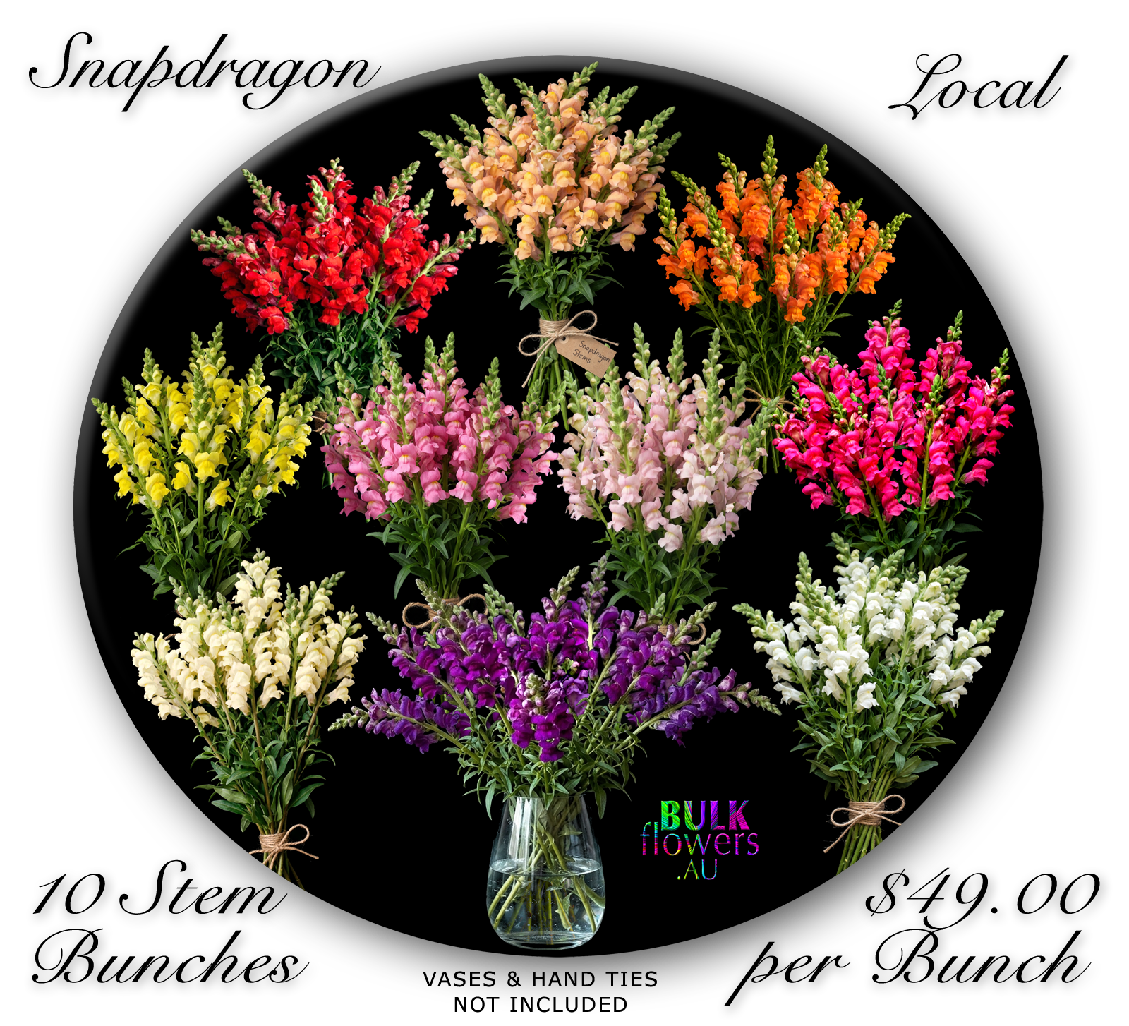BULK FLOWERS SNAPDRAGON