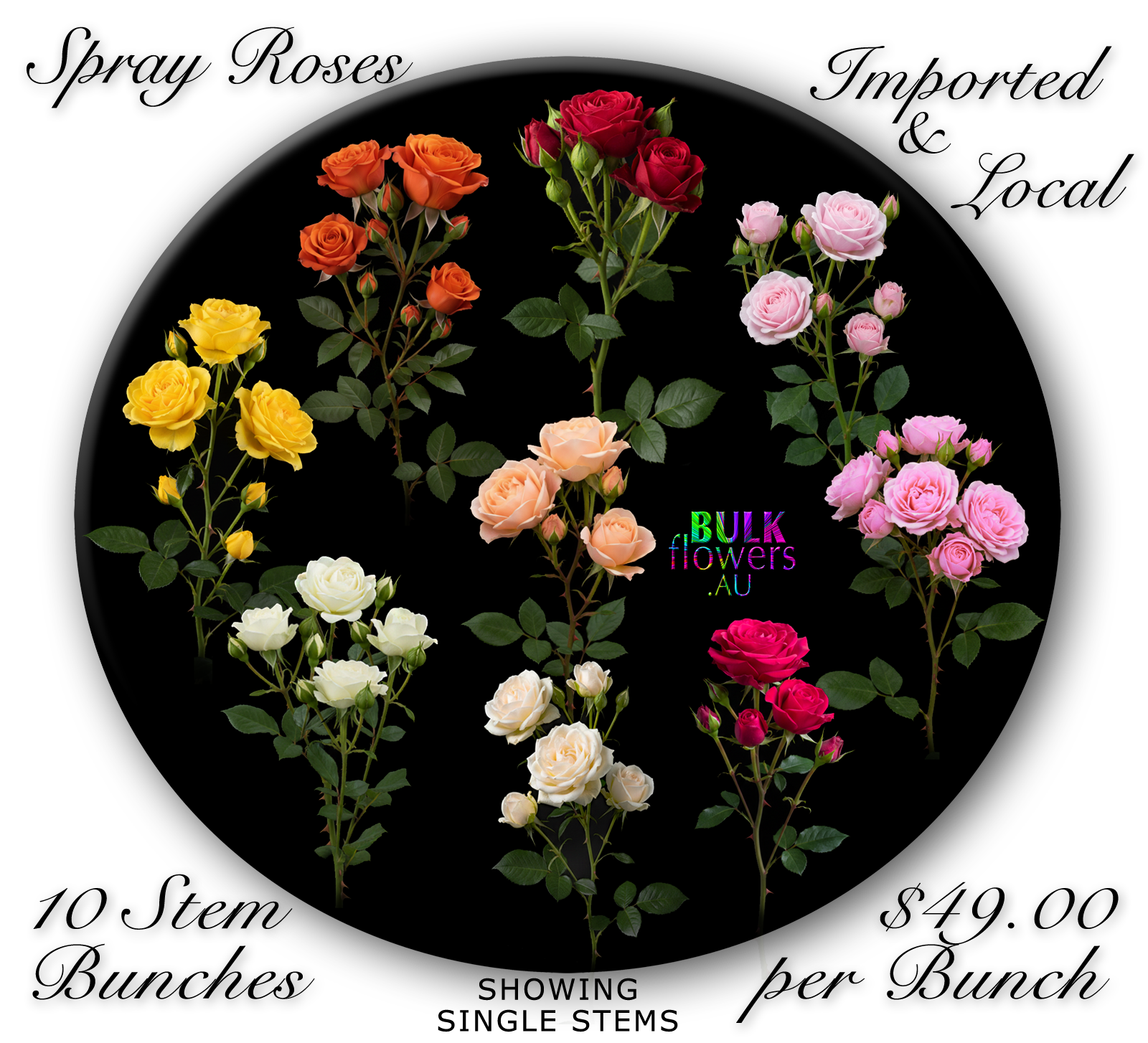 SPRAY ROSES