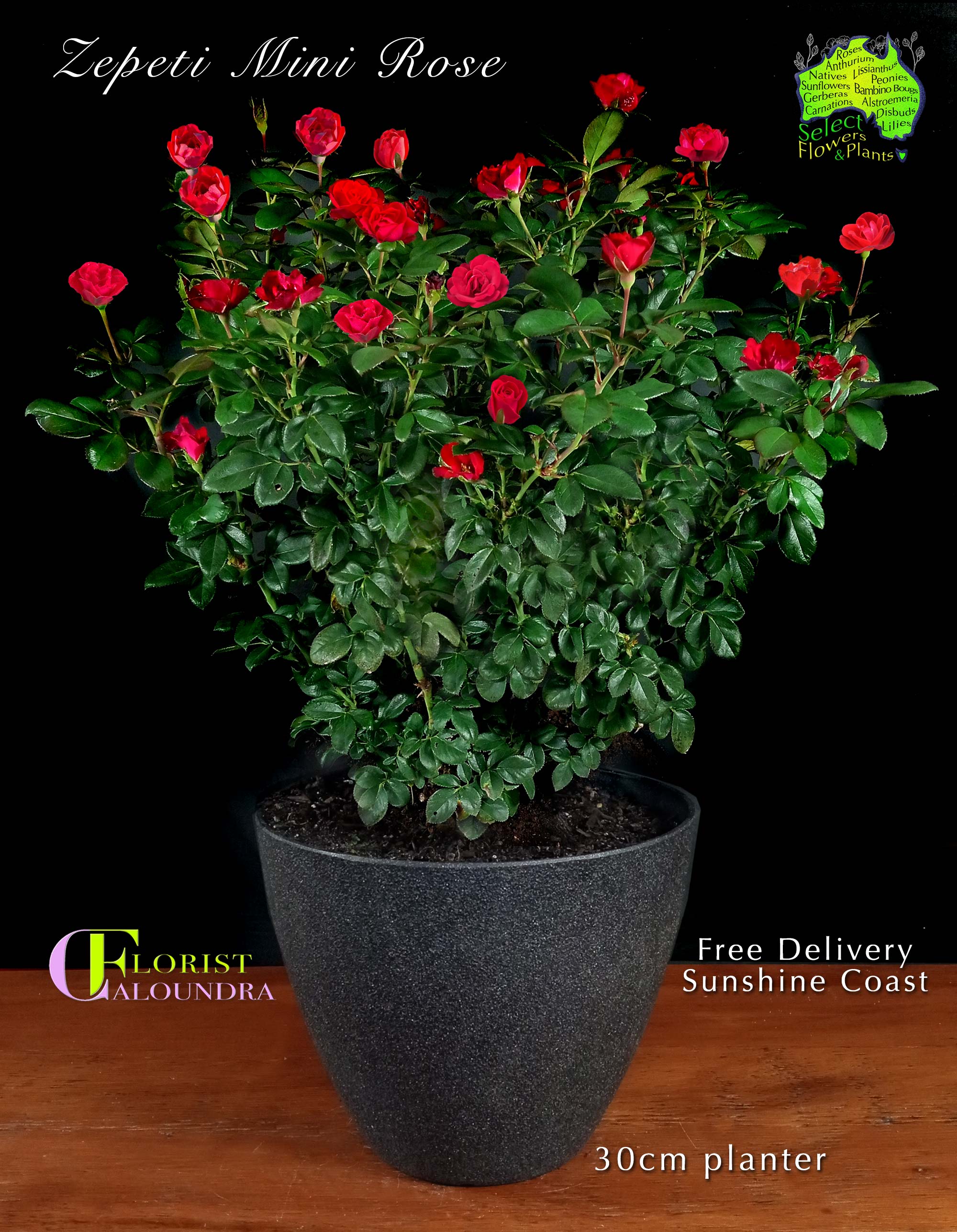 SELECT PLANTS